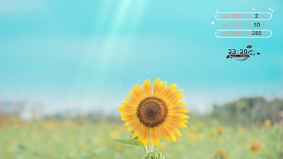 清新夏日阳光向日葵