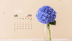 简约系清新壁纸