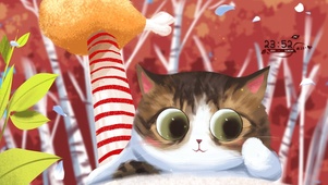 4K可爱小猫