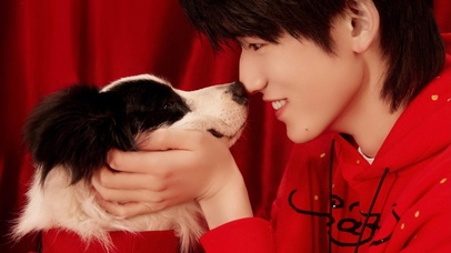 再讲一遍从一堆小狗选择我的故事