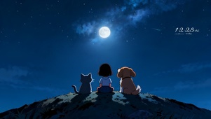 星星