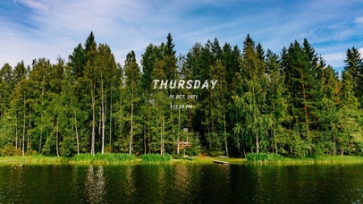 4K护眼绿色树林