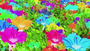 唯美的牵牛花花海