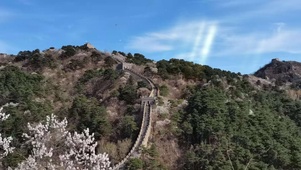 长城春景