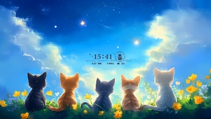 眺望远方的猫咪