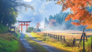 乡下小路上的鸟居