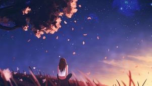 等你一起看流星雨