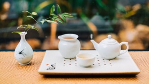 饮茶清新自然心境