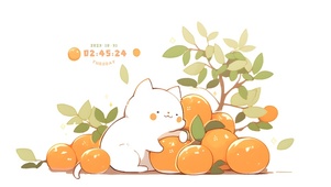 守着喵的一亩三分橘