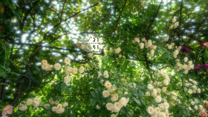 4k唯美护眼治愈花林