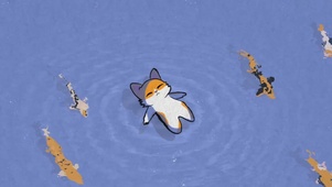 水面上漂浮的小狸猫