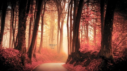 6K 唯美超清【枫林】