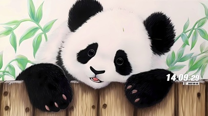 呆萌大熊猫