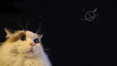 亚瑟点心-星空下的亚瑟