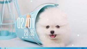 超级可爱茶杯犬
