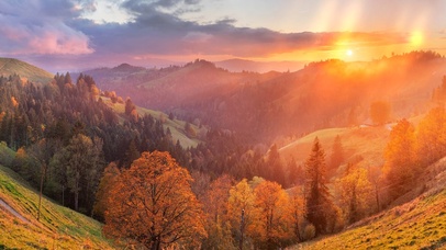 4k-治愈山林（带鱼屏）