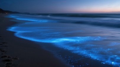 蓝眼泪-夜色中的情书