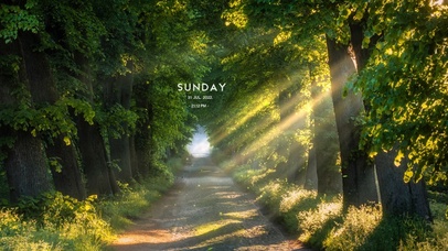 4K夏日阳光树林小路