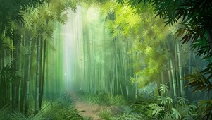 竹林小路
