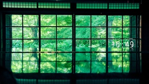 4K满眼青绿-护眼神器-带时间