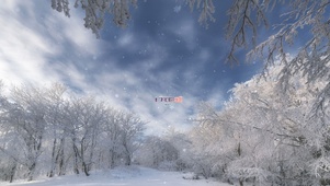 冬天雪景~