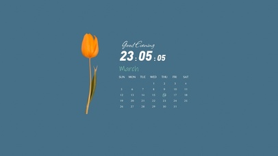 4k极简郁金香系列