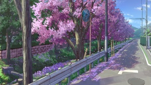 樱花道