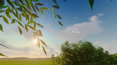 起风了（4k双端）