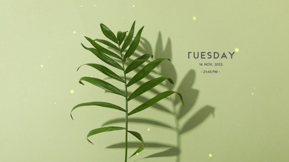 4k高级ins简约桌面