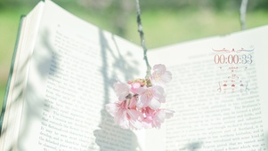 治愈桃花