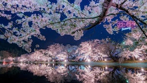 公园夜景