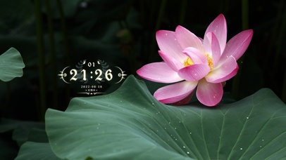 4k高清 清新古风系列