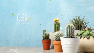 简约小清新盆栽桌面