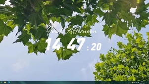 树梢林荫