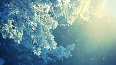 温暖阳光下的树叶