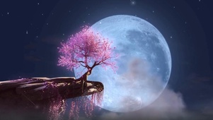 4K原神梦幻紫色樱花