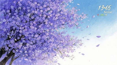 紫色小花