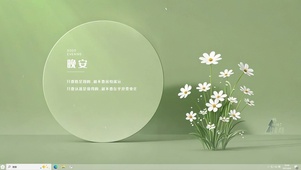 小雏菊