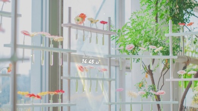 4K唯美治愈护眼花房