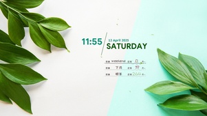 小清新绿植桌面