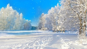 冰天雪原
