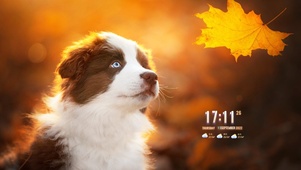 给你给我~
