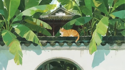 慵懒小猫晒太阳