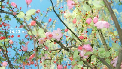 小清新春天的颜色