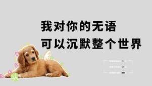 4k狗狗打工人文字系列