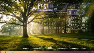 一棵树