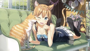夏日与猫咪