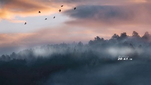 雨后山林