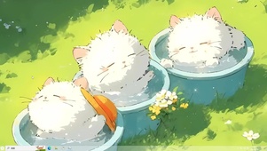 夏日猫咪
