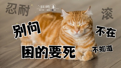 打工人猫猫
